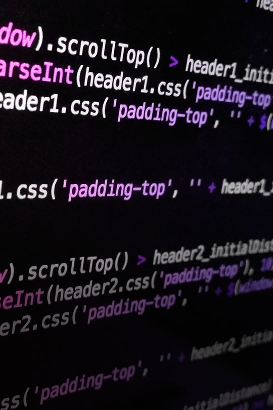 Desarrollo de Sitios Web